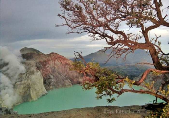 Mengenal Kekayaan Alam Kawah Ijen Banyuwangi yang Ramah untuk Anak-anak