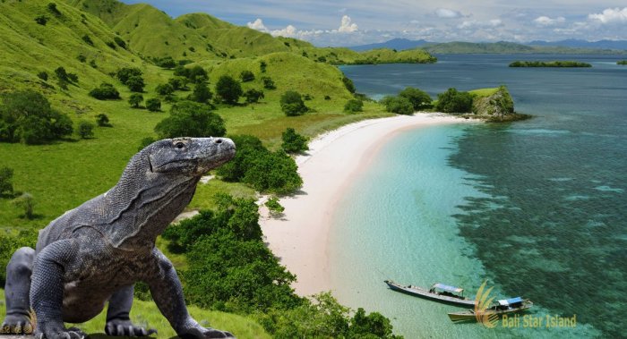 Rekomendasi Wisata Alam di Taman Nasional Komodo untuk Healing