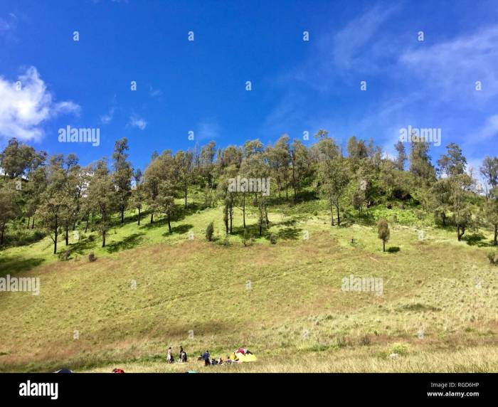 Semeru gunung ranu kumbolo puncak perlu siap pendaki pesona manjakan tak pendakian dibuka kembali okezone