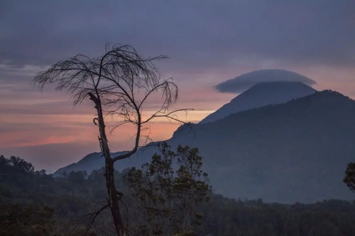 Semeru bromo tengger indonesia park national java east