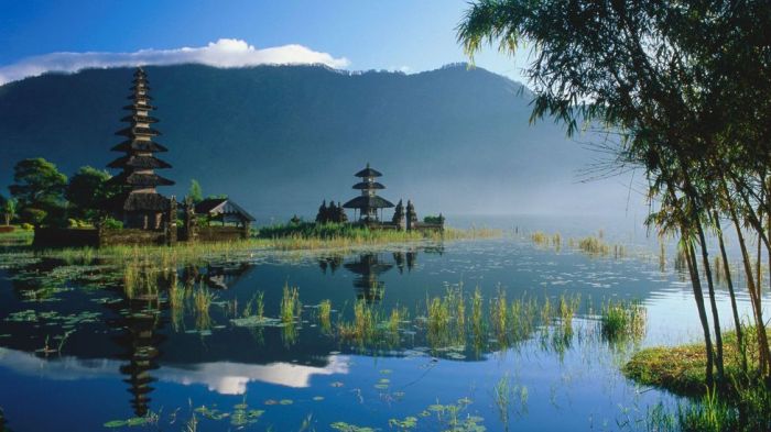 Eksplorasi Alam Terbuka di Hutan Mangrove Bali untuk Penggemar Fotografi