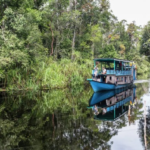 Mengungkap Pesona Tanjung Puting Kalimantan dengan Panorama Indah