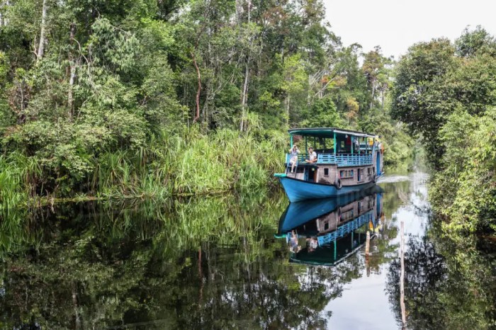 Mengungkap Pesona Tanjung Puting Kalimantan dengan Panorama Indah