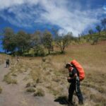 Petualangan Seru di Puncak Gunung Semeru untuk Solo Traveler