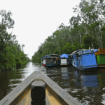 Merasakan tanjung kawasan puting nasional eksotisnya taman picuki