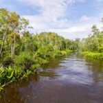 Menjelajahi Keindahan Tanjung Puting Kalimantan untuk Penggemar Fotografi