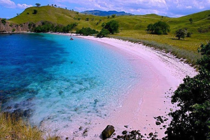 Pink lombok pantai wisata paket sehari timur sekitar